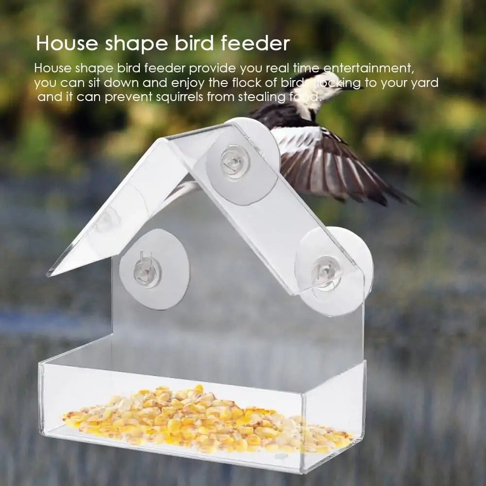 Suction Cup Bird Acrylic Feeder